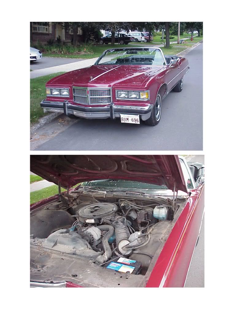 Name:  carpictures.jpg
Views: 1128
Size:  98.3 KB
