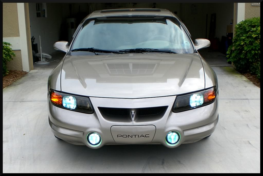 Name:  CIMG2166.jpg
Views: 77
Size:  79.4 KB