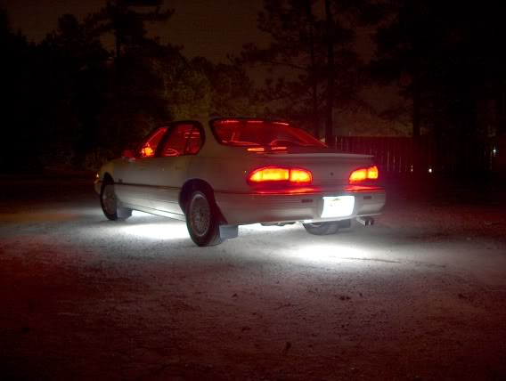 Name:  9-24neonshots005.jpg
Views: 54
Size:  38.1 KB