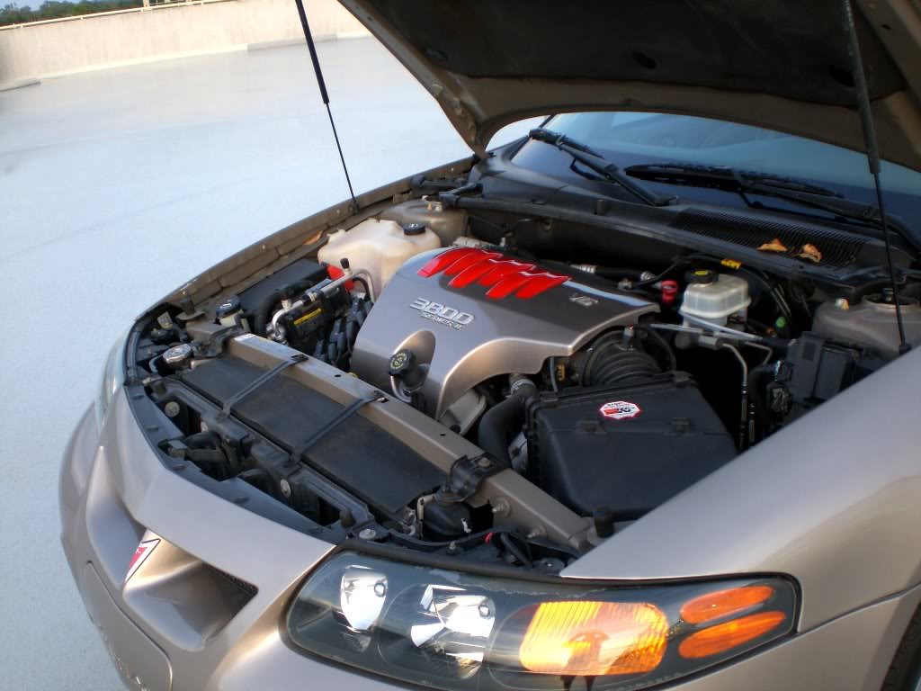 Name: CIMG1384.jpg
Views: 39
Size: 121.4 KB
