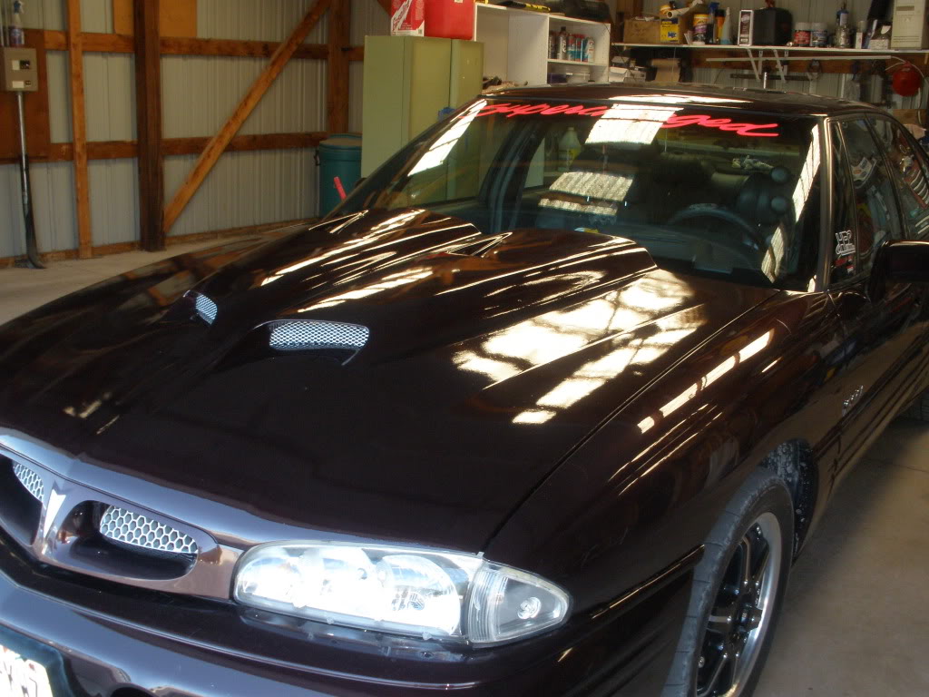 Name:  P6280016.jpg
Views: 127
Size:  149.6 KB