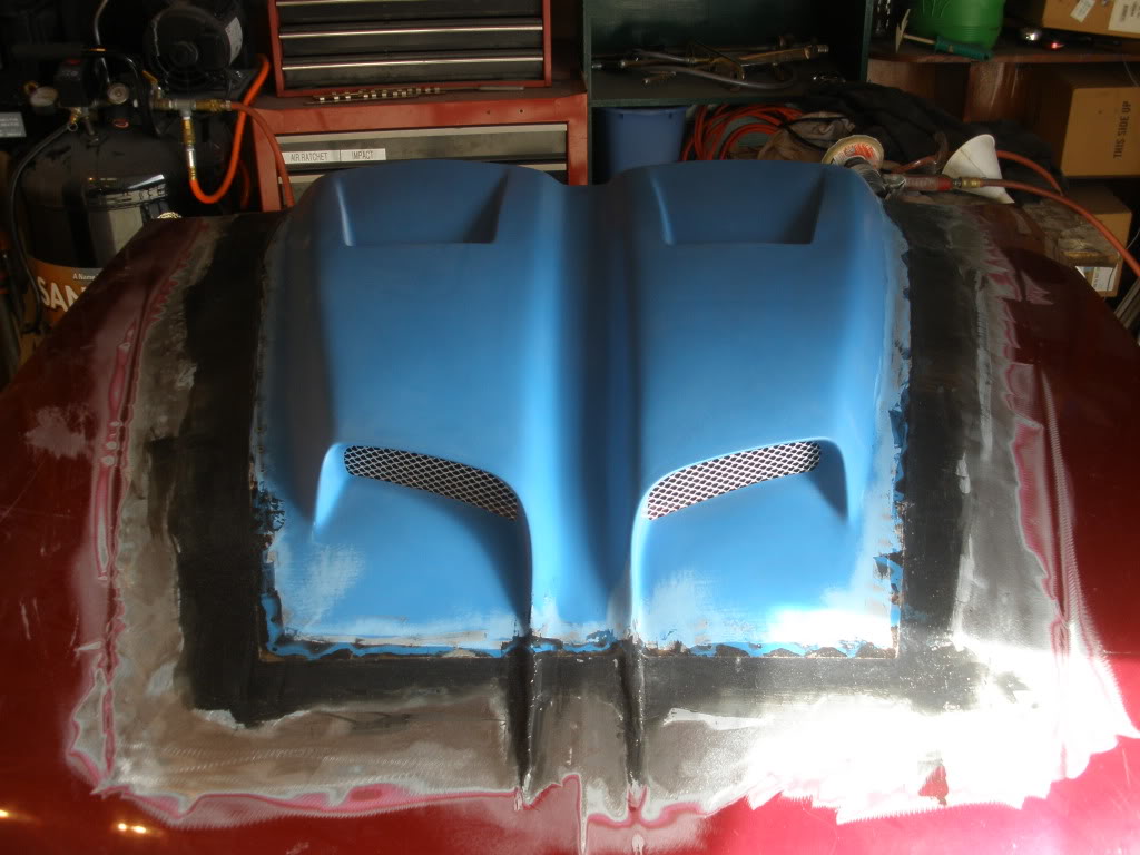 Name:  P6210202.jpg
Views: 76
Size:  120.0 KB