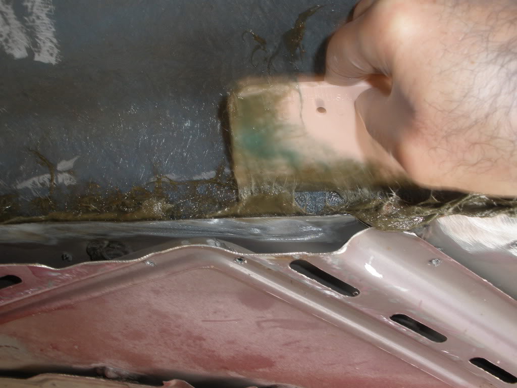 Name:  P6210193.jpg
Views: 32
Size:  116.1 KB