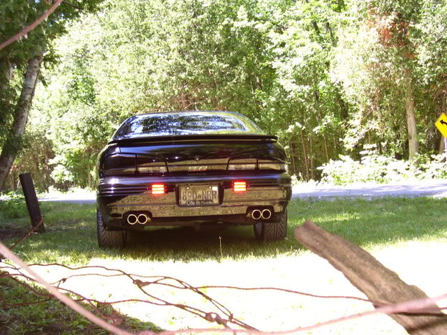 Name:  vacation2007010.jpg
Views: 49
Size:  99.7 KB