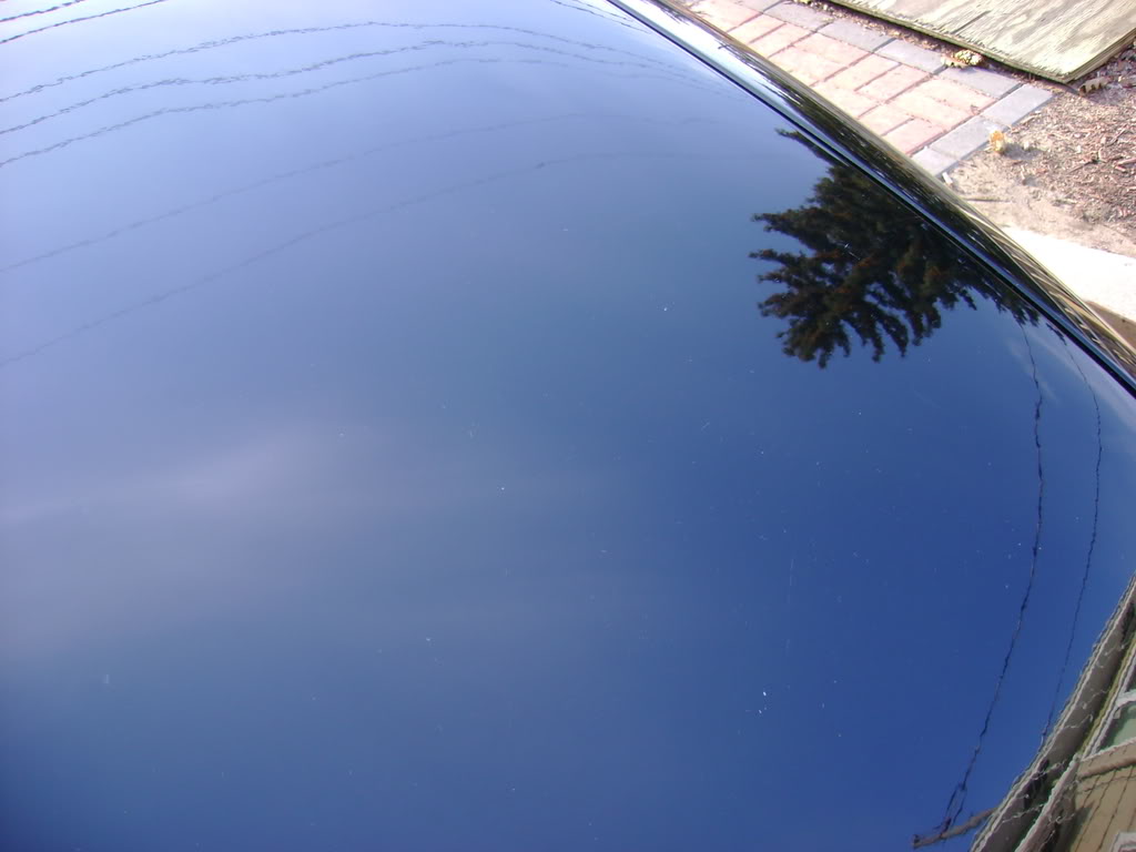 Name:  DSC01561-2.jpg
Views: 52
Size:  78.2 KB