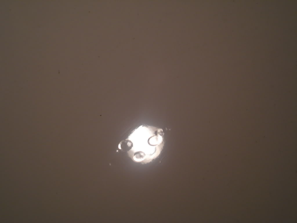 Name:  maaco027.jpg
Views: 25
Size:  21.4 KB