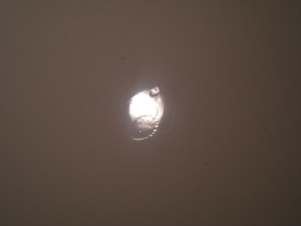 Name:  maaco028.jpg
Views: 23
Size:  21.3 KB