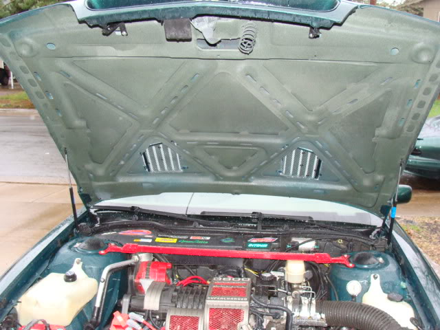 Name: DSC00315.jpg
Views: 51
Size: 76.0 KB