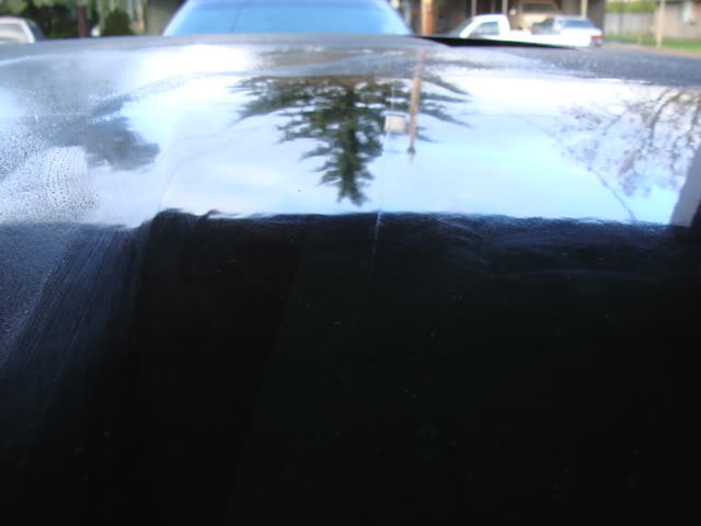Name: DSC00280.jpg
Views: 53
Size: 35.3 KB