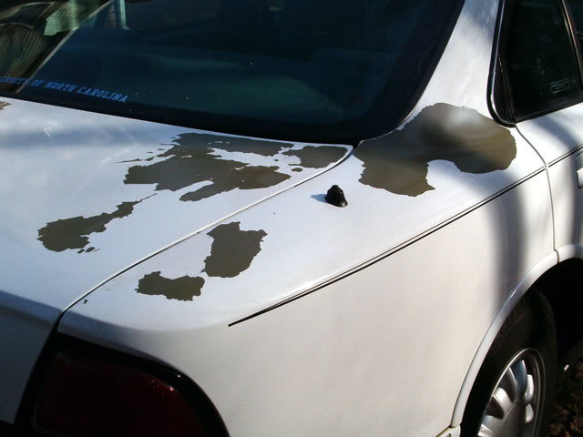 Name:  Delamination.jpg
Views: 4112
Size:  36.4 KB