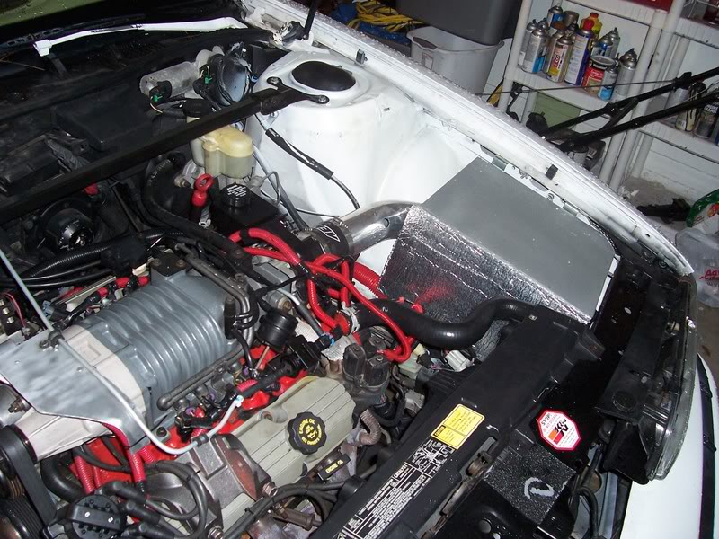 Name:  100_3003.jpg
Views: 138
Size:  128.5 KB