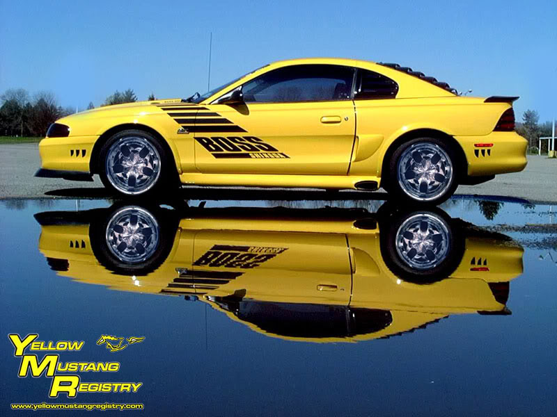 Name:  94Boss_Reflection800x6001copy.jpg
Views: 63
Size:  92.6 KB