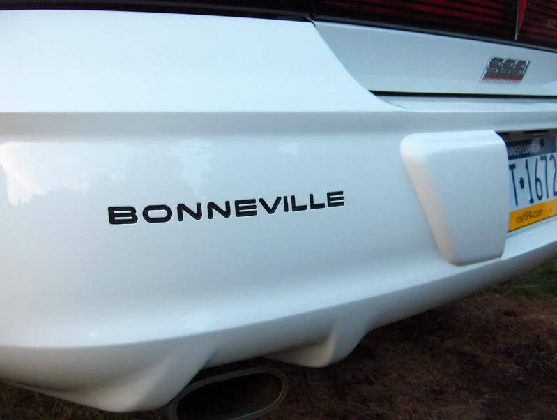 Name:  BumperFill011.jpg
Views: 59
Size:  39.0 KB
