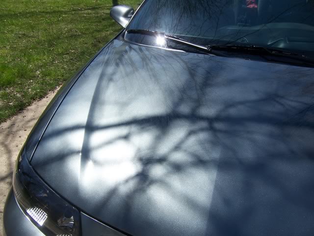 Name:  Picture046.jpg
Views: 42
Size:  50.6 KB