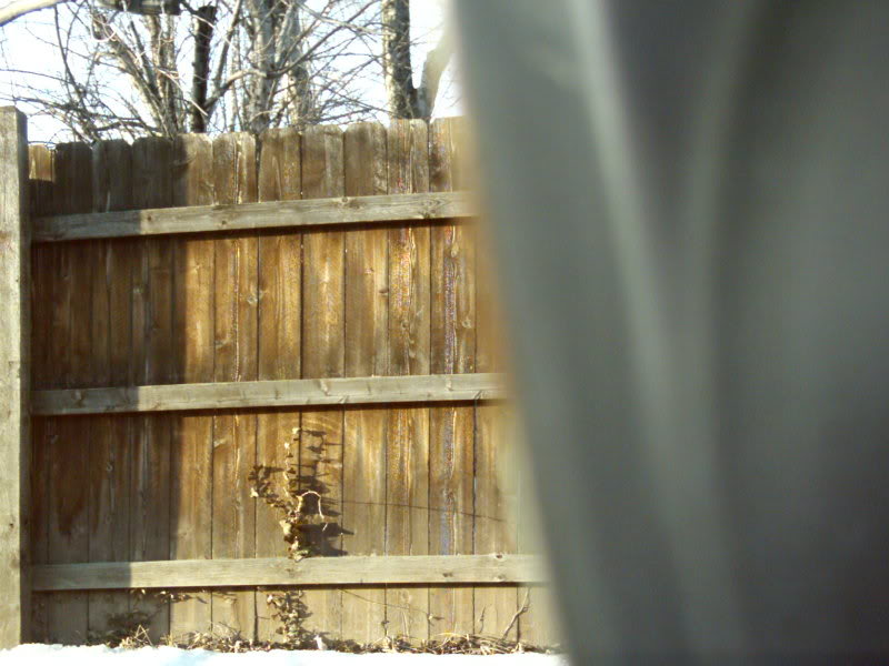 Name:  DSCI0006.jpg
Views: 45
Size:  70.8 KB