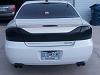 I tinted my tails today-share.jpg
