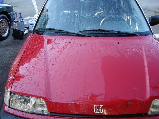 Name:  hood.jpg
Views: 45
Size:  76.4 KB
