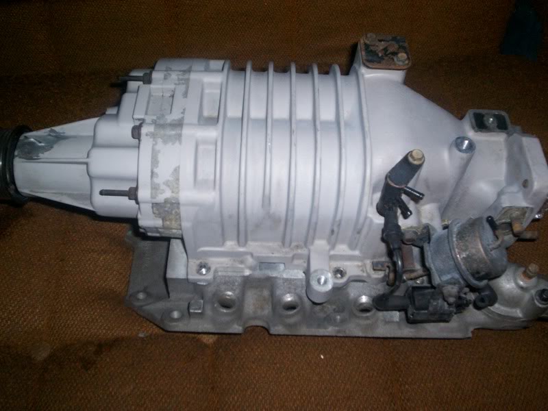 Name:  000_0124.jpg
Views: 115
Size:  70.1 KB