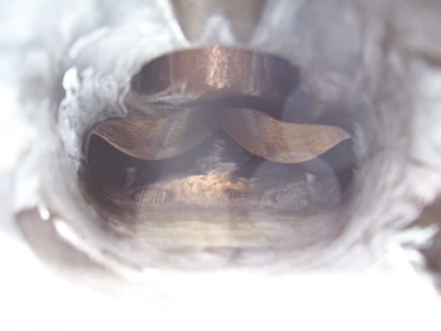 Name:  SCrebuild044.jpg
Views: 603
Size:  24.6 KB