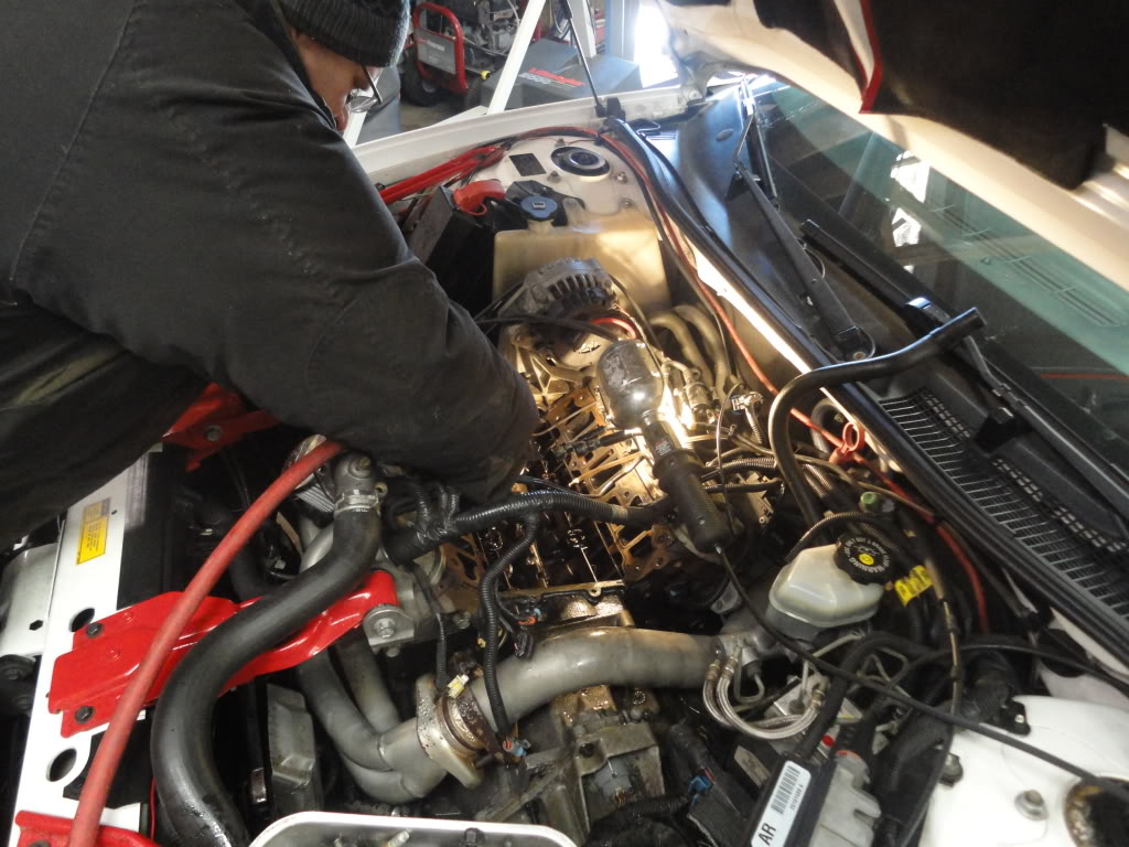 Name:  DSC03781.jpg
Views: 158
Size:  137.1 KB