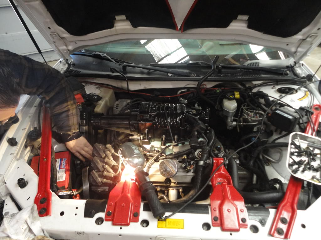 Name:  DSC03785.jpg
Views: 153
Size:  131.9 KB