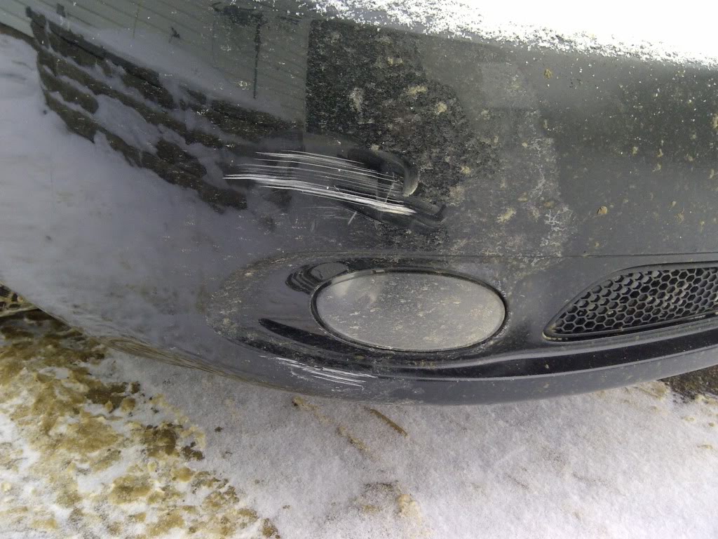 Name:  WoodBuffalo-20110109-00215.jpg
Views: 83
Size:  151.4 KB