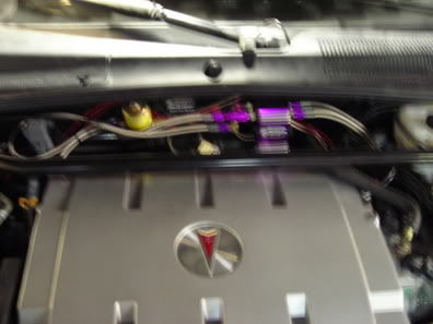 Name:  nitrousetup024.jpg
Views: 67
Size:  20.6 KB