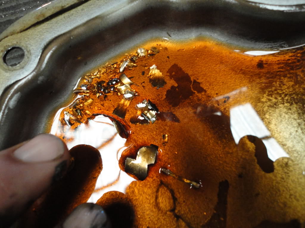 Name:  DSC00407.jpg
Views: 48
Size:  148.8 KB