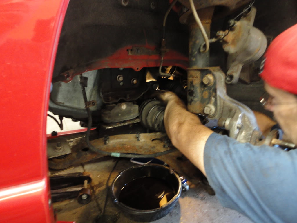 Name: DSC00448.jpg
Views: 134
Size: 116.1 KB