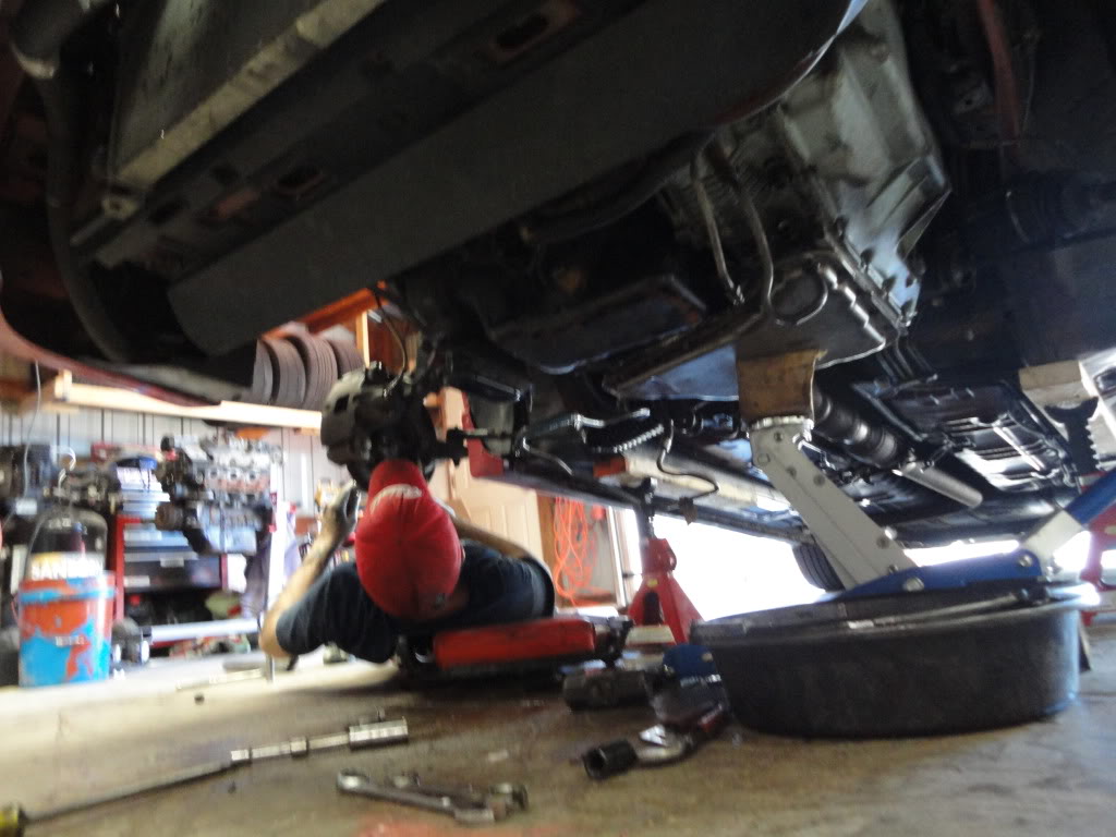 Name: DSC00454.jpg
Views: 55
Size: 124.0 KB