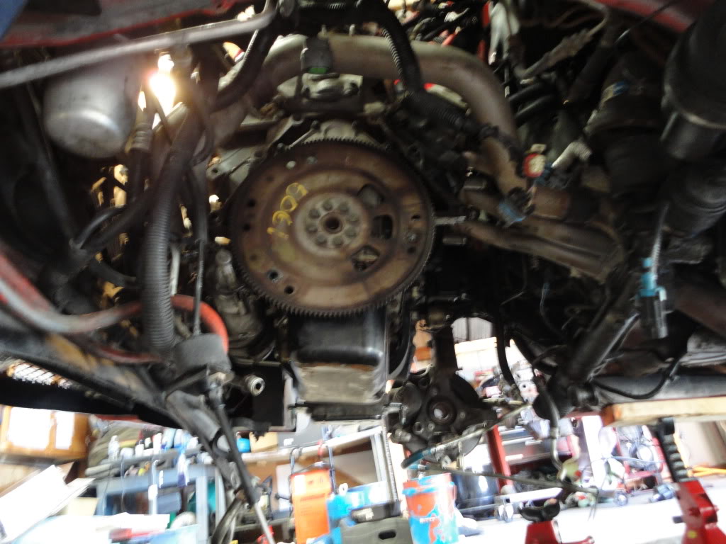 Name: DSC00460.jpg
Views: 49
Size: 143.7 KB