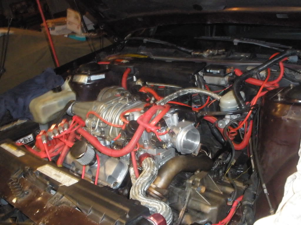 Name:  P2220208.jpg
Views: 67
Size:  151.3 KB