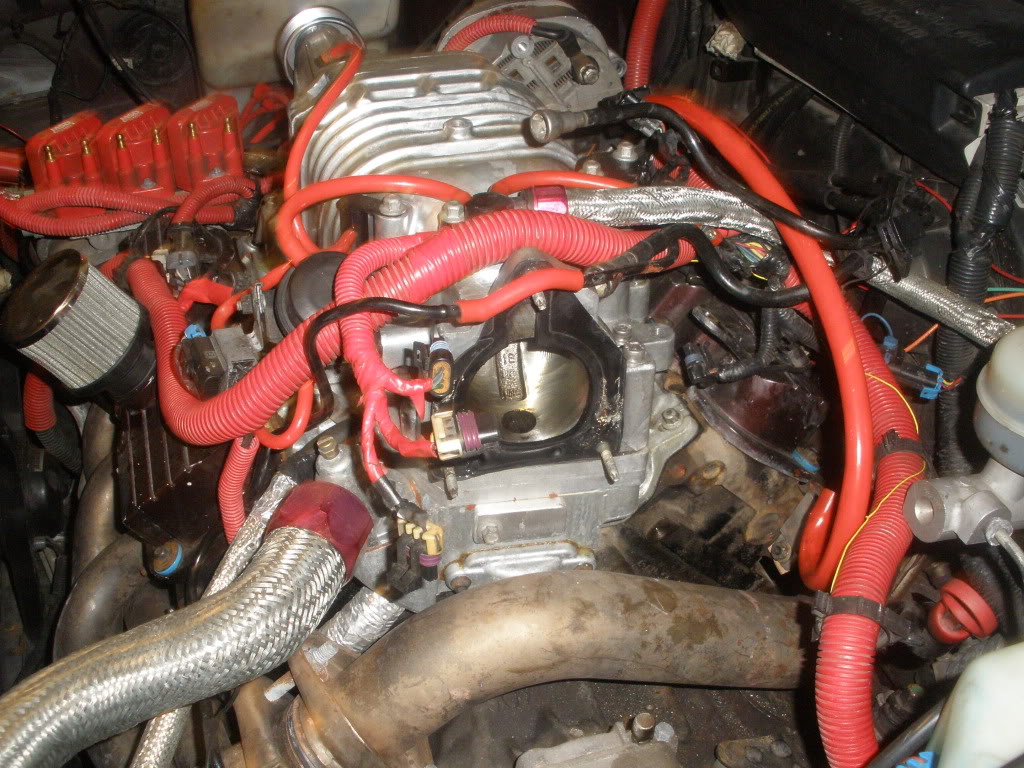 Name:  P1280021.jpg
Views: 103
Size:  208.8 KB