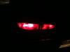 Black tails-night_running.jpg