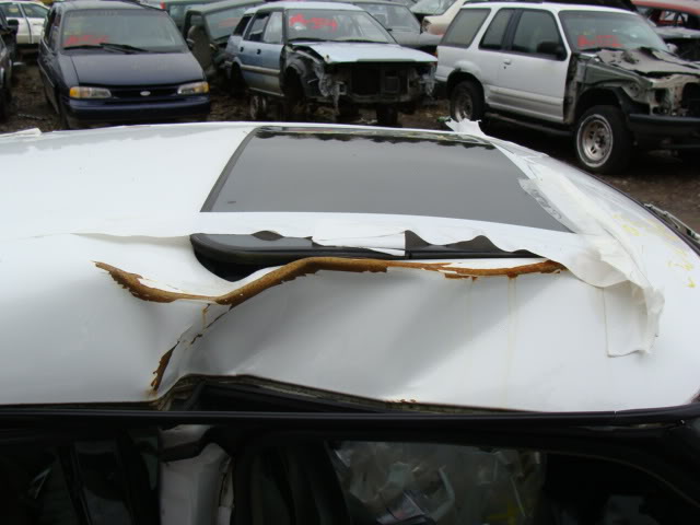 Name:  DSC00539.jpg
Views: 46
Size:  49.3 KB