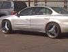 22's-chops.jpg