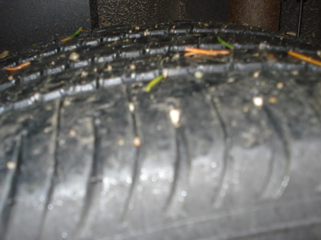 Name:  DSC00061.jpg
Views: 56
Size:  39.8 KB