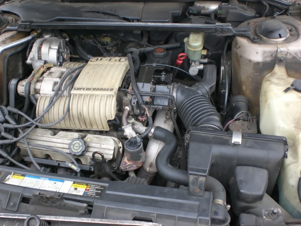 Name: CIMG0217.jpg
Views: 22
Size: 147.2 KB