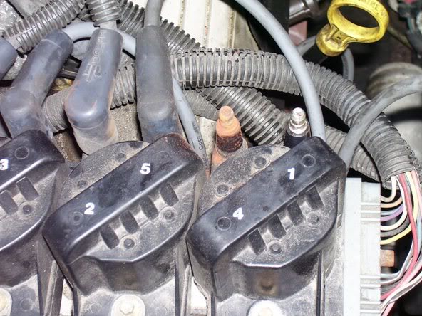 Name:  rusty.jpg
Views: 221
Size:  69.3 KB