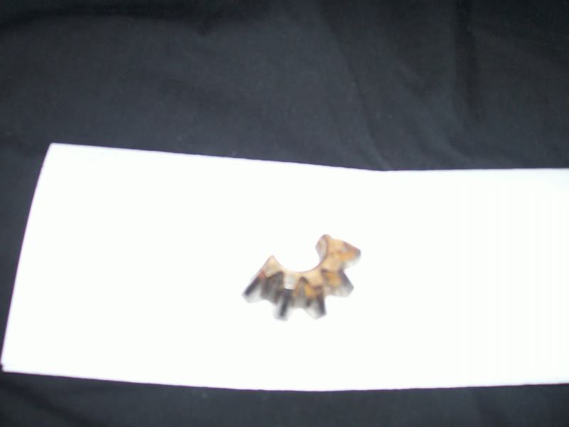 Name:  100_2739.jpg
Views: 39
Size:  24.7 KB