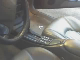 Name:  bonnyseat.jpg
Views: 27
Size:  7.2 KB
