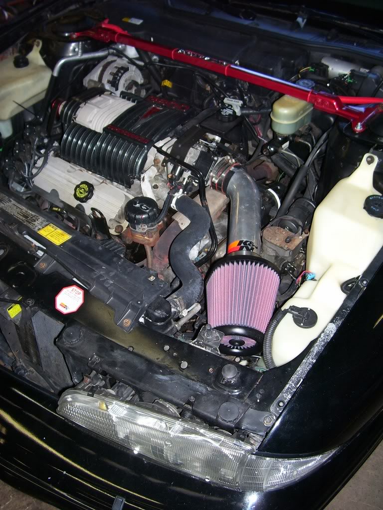 Name:  todistribute2090.jpg
Views: 44
Size:  168.1 KB