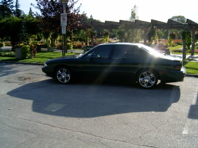 Name:  SPET28021.jpg
Views: 34
Size:  33.6 KB