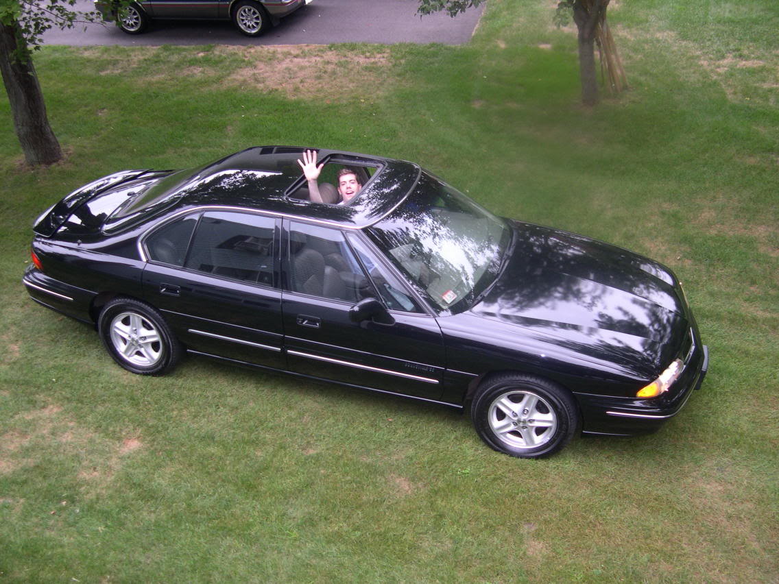 Name:  chriswaitingforthebackyardshot.jpg
Views: 181
Size:  162.8 KB