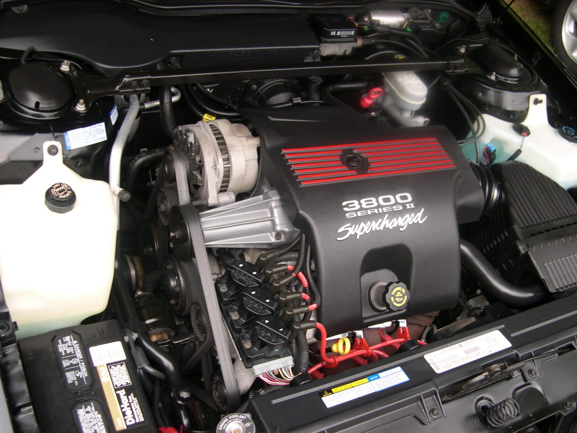 Name:  Bobsspotlessengine.jpg
Views: 66
Size:  142.9 KB