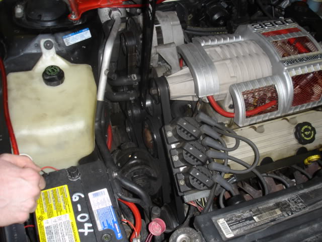 Name:  DSC00956.jpg
Views: 41
Size:  65.8 KB