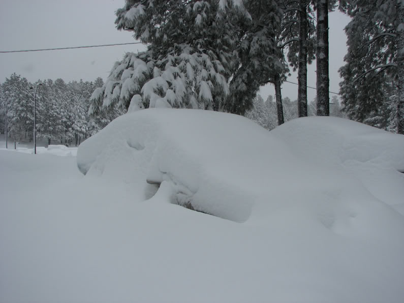 Name:  Winter6.jpg
Views: 67
Size:  65.9 KB