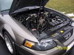 Name:  GTunderhood.jpg
Views: 44
Size:  15.8 KB
