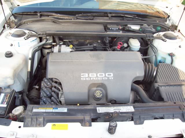 Name:  100_0154.jpg
Views: 19
Size:  72.4 KB