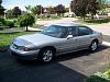 New Member-n89901555_35031949_6862.jpg